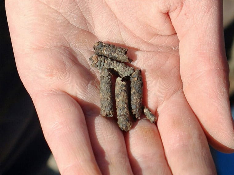 Почему весной на малых реках крупная плотва выбирает только "шитика"