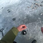 Особливості застосування важких фідерних снастей на русловому звалi Дніпра