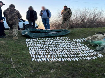 Сітки, човен і 348 пліток: на каналі Дунай–Сасик викрили незаконний вилов на понад пів мільйона гривень