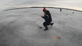 Лід на Київському водосховищі тане на очах: що відбувається з клюванням судака