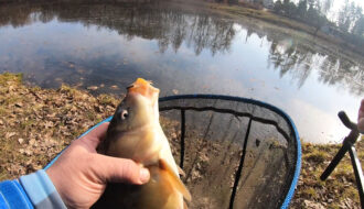 Нерест 2026 в Україні: що зміниться з 1 квітня і де можна ловити