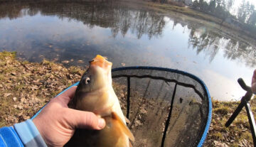 Нерест 2026 в Україні: що зміниться з 1 квітня і де можна ловити