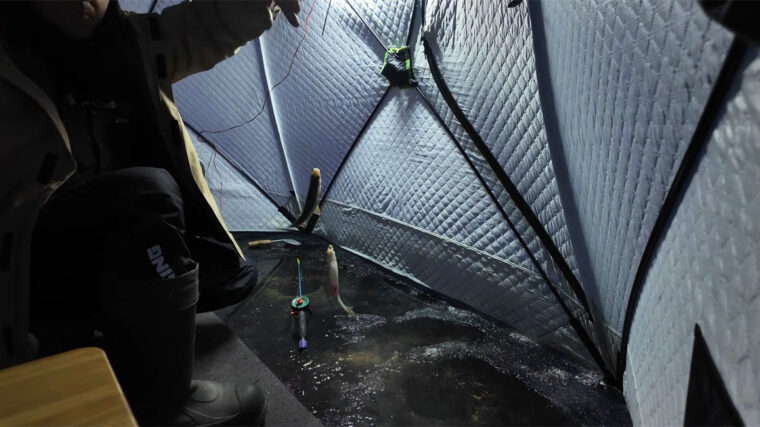 Плотва вышла из коряжника на рассвете: ночная рыбалка на Кременчугском водохранилище