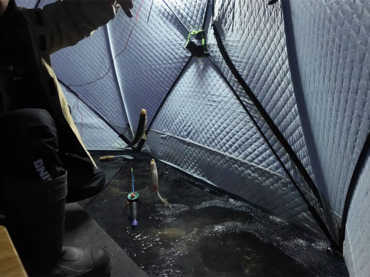 Плотва вышла из коряжника на рассвете: ночная рыбалка на Кременчугском водохранилище