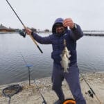 Плотва в Киеве ушла на глубину: где ловят на Днепре сейчас