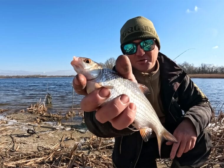 Плітка на Дніпрі