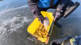 Плітка на Дніпрі: риболовля на глибині 4.4 метра у березні