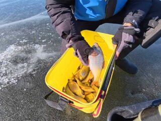 Плітка на Дніпрі: риболовля на глибині 4.4 метра у березні