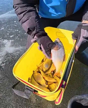 Плітка на Дніпрі: риболовля на глибині 4.4 метра у березні