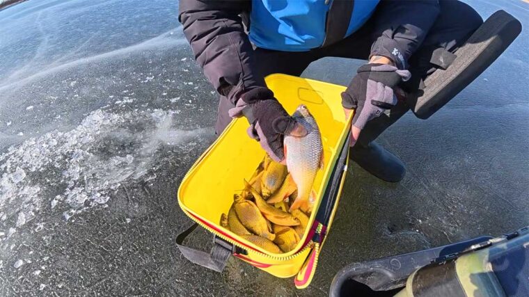 Плітка на Дніпрі: риболовля на глибині 4.4 метра у березні