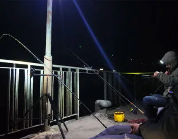 Крупна плітка в Черкасах: нічне клювання на кукурудзу на Дніпрі