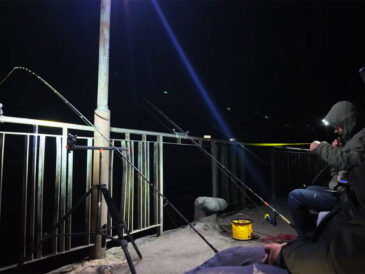 Крупна плітка в Черкасах: нічне клювання на кукурудзу на Дніпрі