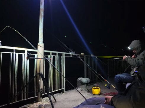 Крупна плітка в Черкасах: нічне клювання на кукурудзу на Дніпрі