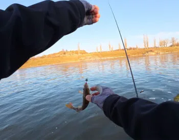 Чому риба ігнорує силікон у холодній воді: названа помилка весняної проводки