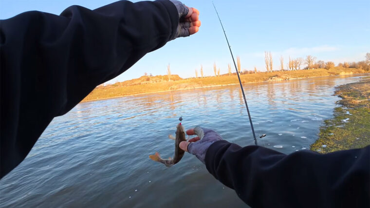 Чому риба ігнорує силікон у холодній воді: названа помилка весняної проводки