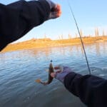 Как улучшить клев леща весной: добавьте 3 простых компонента в прикормку