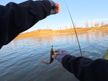 Почему рыба игнорирует силикон в холодной воде: названа ошибка весенней проводки