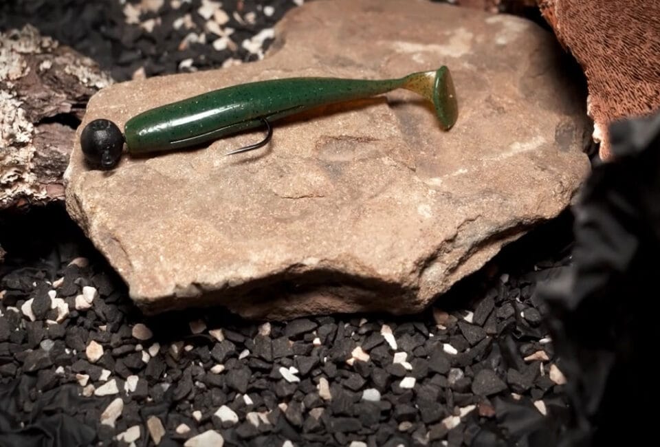 Почему весной не работает силикон: ошибка цвета, которую допускают даже опытные рыболовы