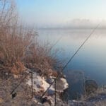 Почему весной не работает силикон: ошибка цвета, которую допускают даже опытные рыболовы