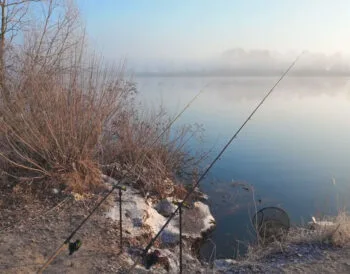 Різке похолодання наприкінці березня змінило клювання: що терміново змінити в прикормці