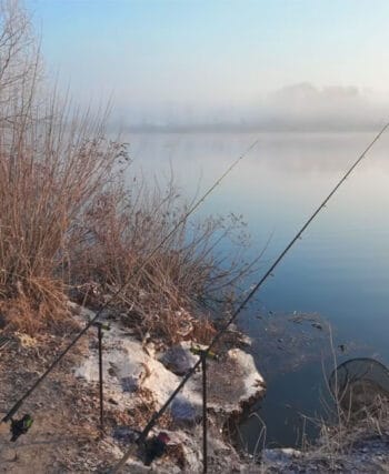 Різке похолодання наприкінці березня змінило клювання: що терміново змінити в прикормці