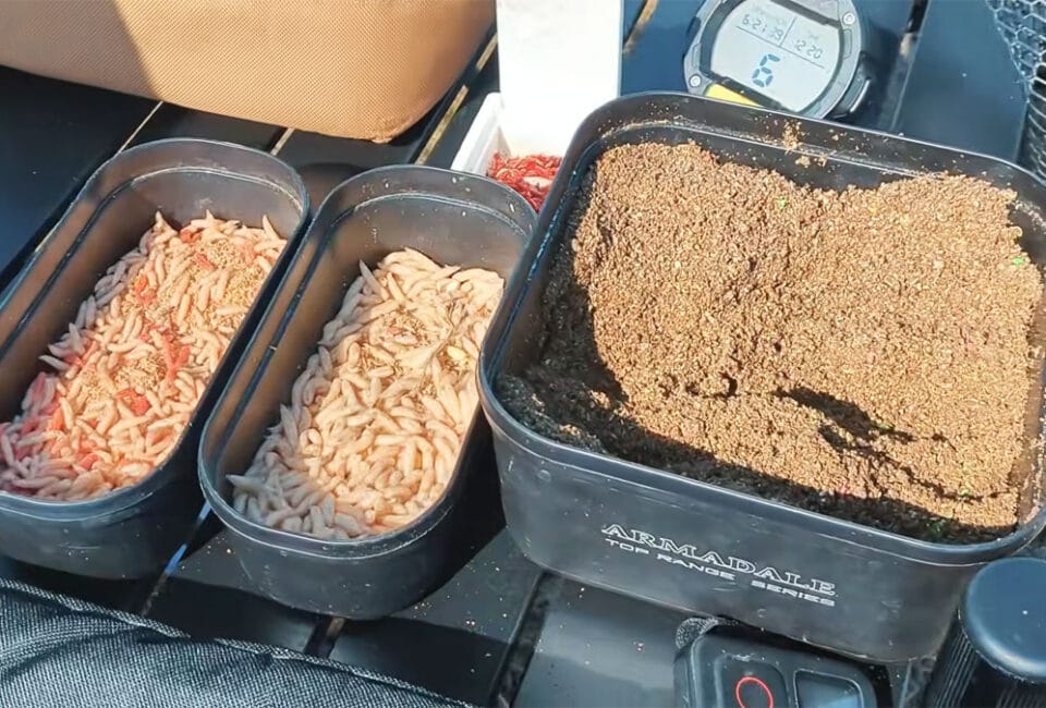 Прикормка на карася навесні: прості склади без дорогих сумішей і складних рецептів