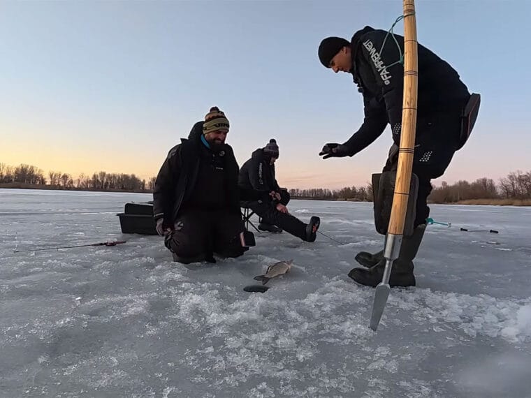 Риболовля на Дніпрі: сазан і карась на бровках (Черкаси)