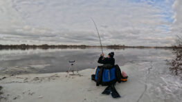 Риболовля на фідер на Дніпрі 2026: тест Flagman Strum Distance