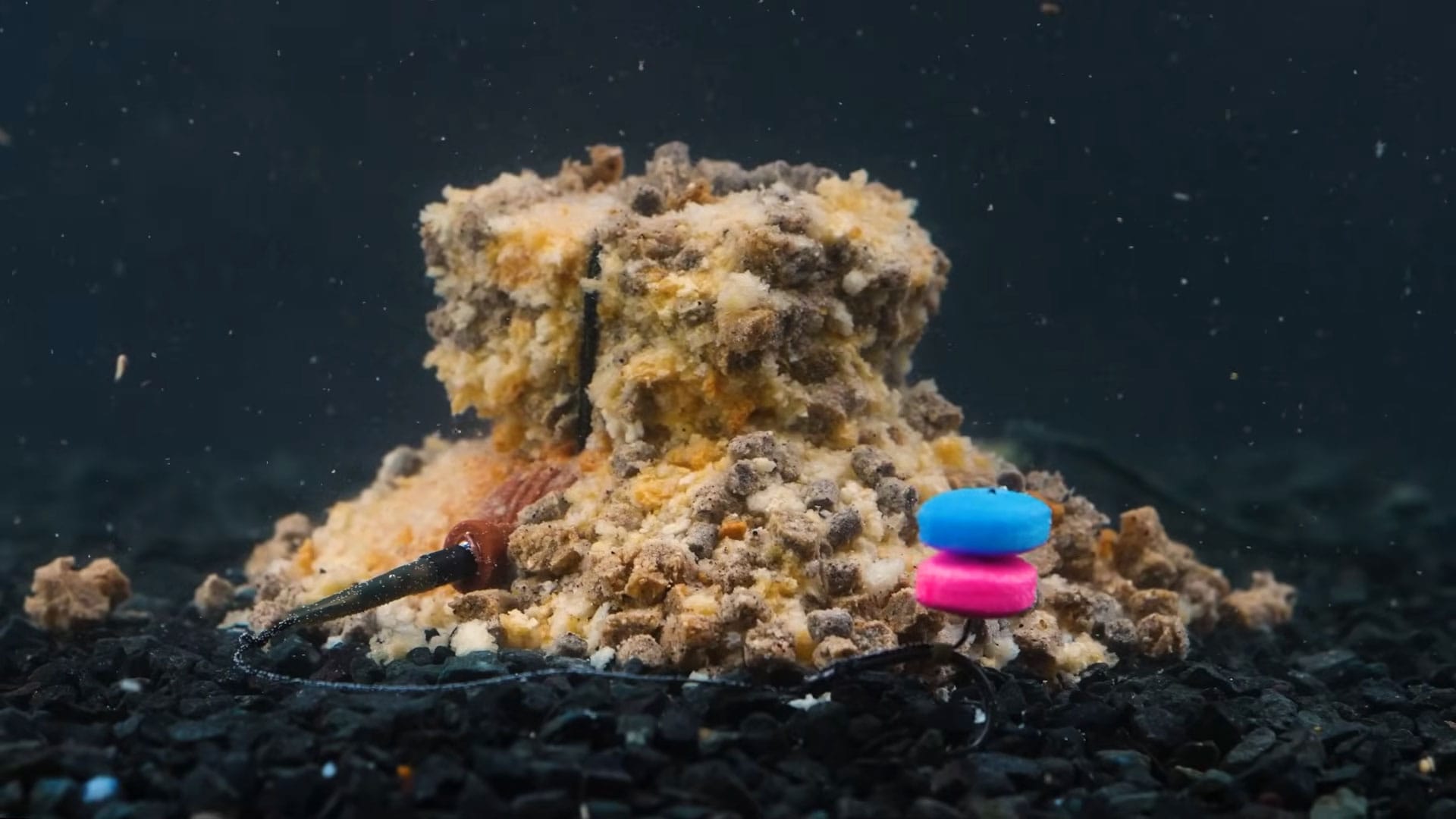 Риболовля на коропа і карася зміниться: представлено нову технологію Суперкекс