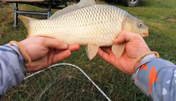 Риболовля на орендованих ставках - хто може ловити безкоштовно