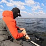 3 наживки, які реально працюють по карасю у квітні