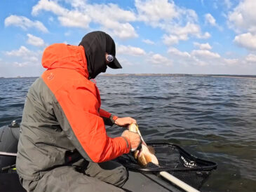 Риболовля з човна під час нересту 2026: що дозволено та які штрафи