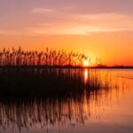 Плітка влаштувала роздачу на течії: що відбувається на льоду Дніпра