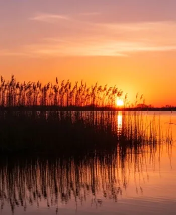 Риболовля за посвідченням: в Україні обговорюють нові правила для мільйонів любителів