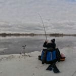 Рыбалка на Днепре в конце февраля: причины смещения рыбы к берегу и анализ работы снастей