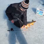 Карась массово опустился на дно: неожиданная смена поведения на Днепре