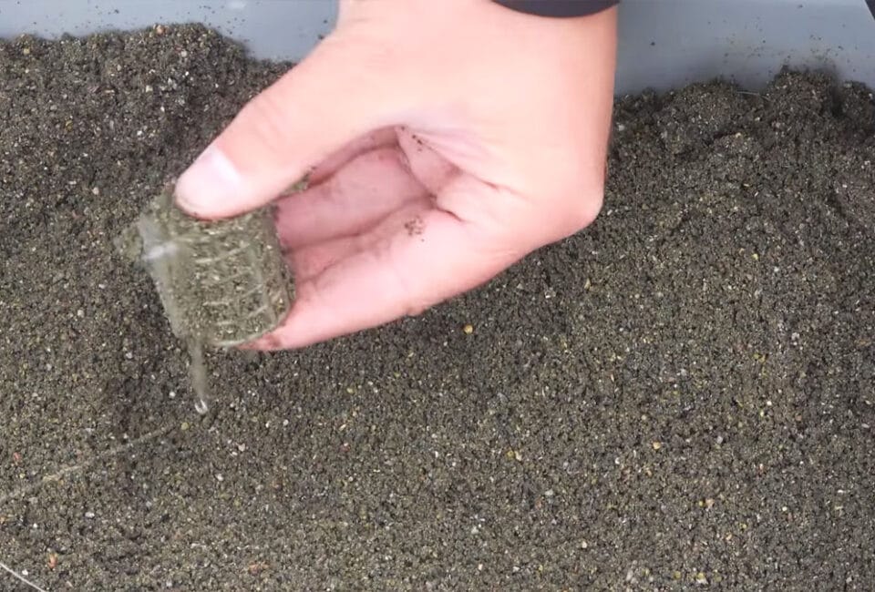 Що додати в прикормку в холодній воді: компонент, який "вмикає" пасивну рибу