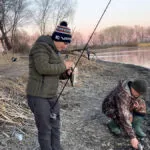 Судак на Канівській ГЕС: аномальне клювання біля берега