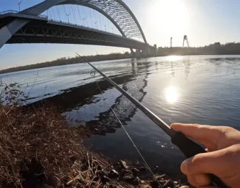 Судак у Києві перестав клювати після падіння рівня води