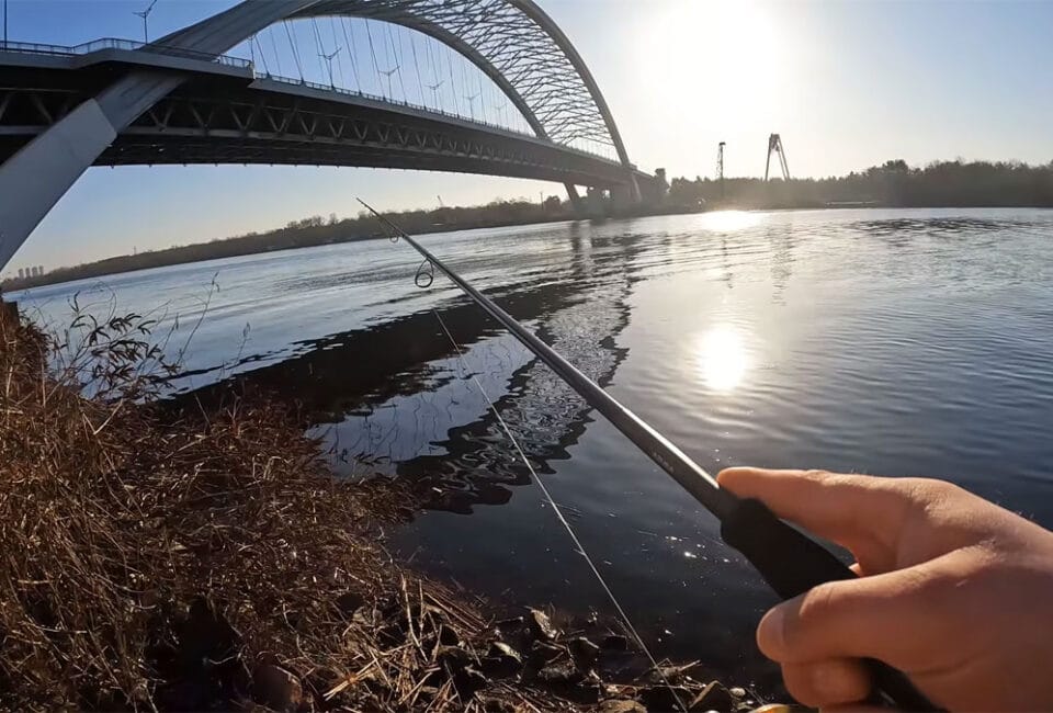 Судак у Києві перестав клювати після падіння рівня води