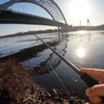 На Десне пошел первый весенний клев плотвы: рыбаки раскрыли тактику