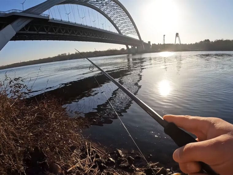 Судак в Киеве перестал клевать после падения уровня воды