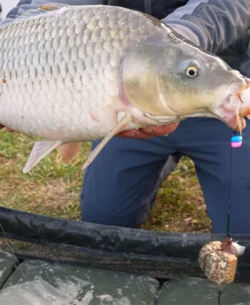 Суперкекс від Фанатик: нова приманка на коропа і карася