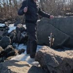 Короп і сазан – одна риба? Вчені пояснили, чому їх вважають одним видом