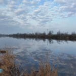 Сазан і великий карась масово вийшли на бровки Дніпра: несподівані підсумки риболовлі під Черкасами