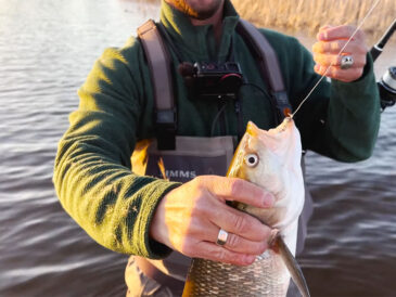 Де шукати білизну на Дніпрі у квітні: робочі приманки і тактика біля дна