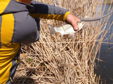 Правильний пошук риб'ячих стежок визначає 90% успіху