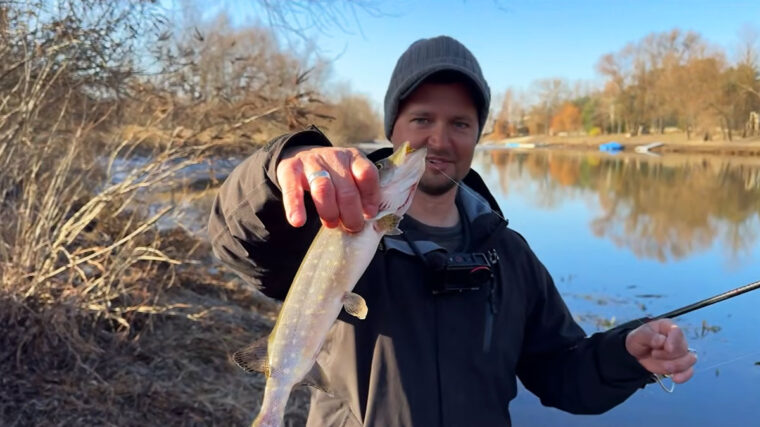 chomu-ne-klyuye-shuka-pislya-nerestu-kviten