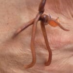 ТОП фідерів для сильної течії Дніпра: 3 моделі до 3500 грн