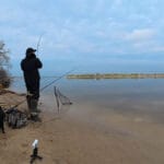 Перестаньте годувати дрібноту: що додати в прикормку, щоб прийшла велика плітка